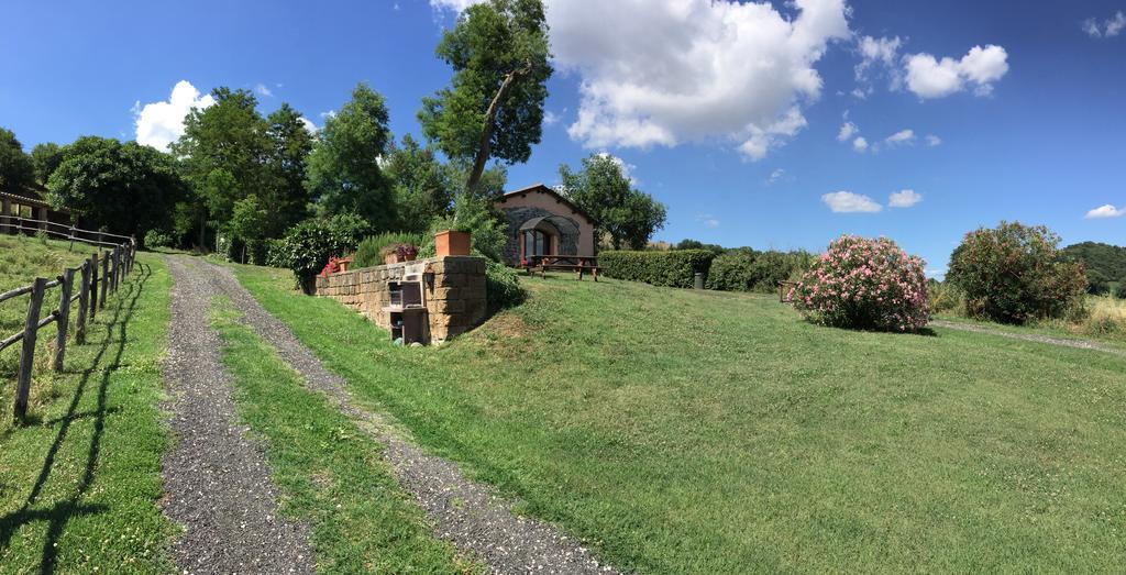Il Castoro Di Martignano Villa Anguillara Sabazia Exterior foto