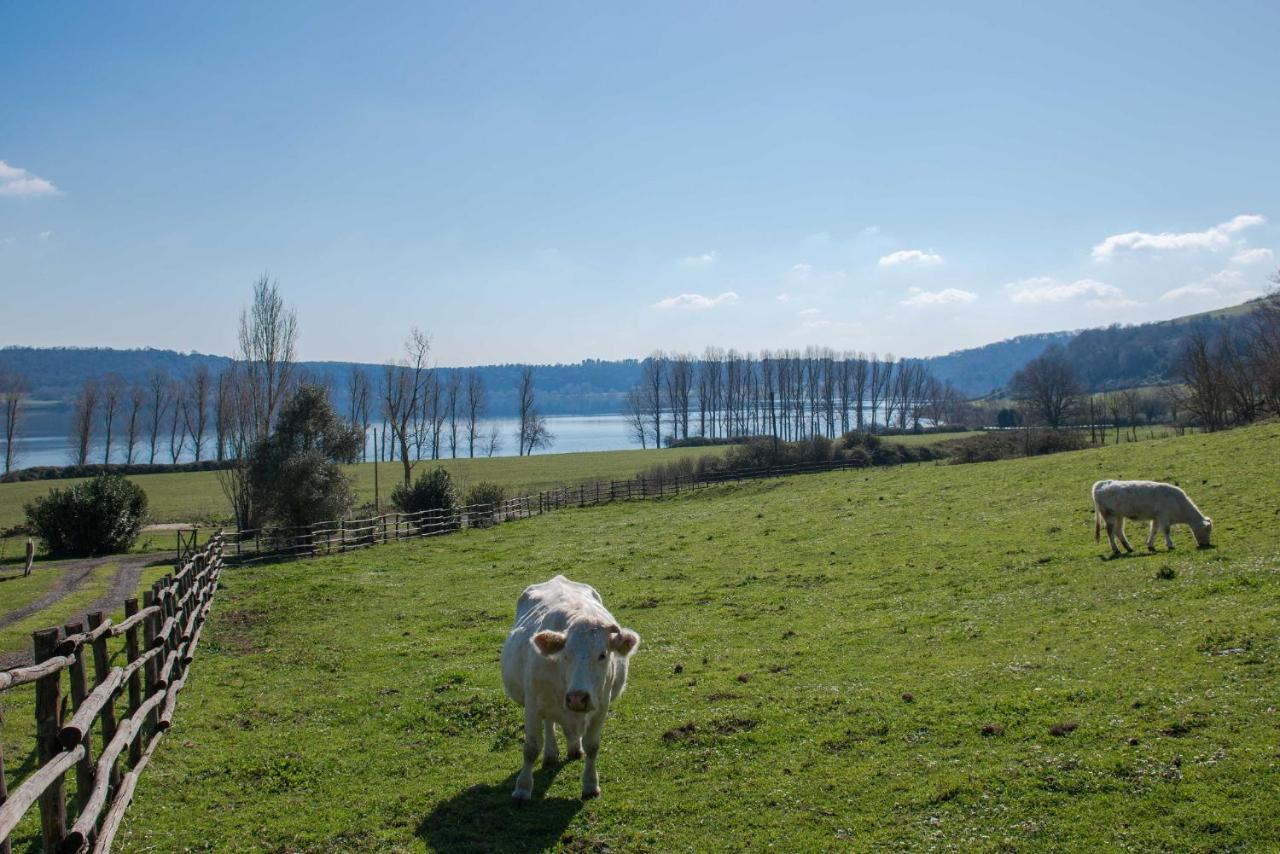 Il Castoro Di Martignano Villa Anguillara Sabazia Exterior foto